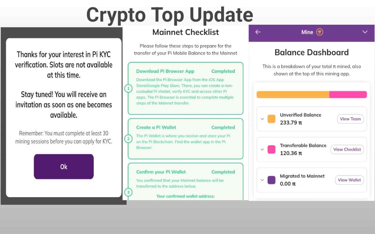 Pi KYC Real Screenshot